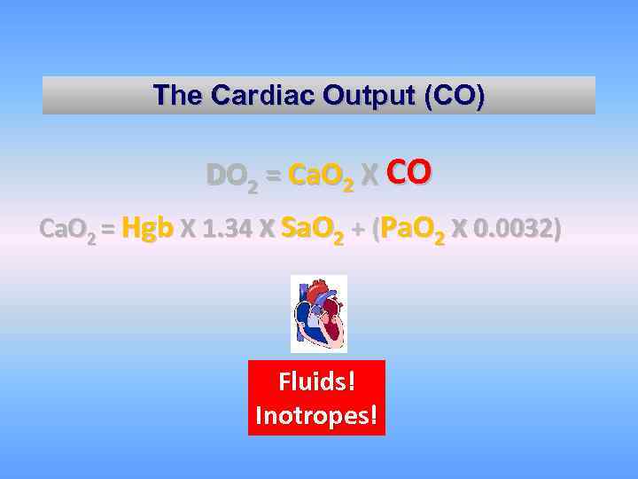 The Cardiac Output (CO) DO 2 = Ca. O 2 X CO Ca. O