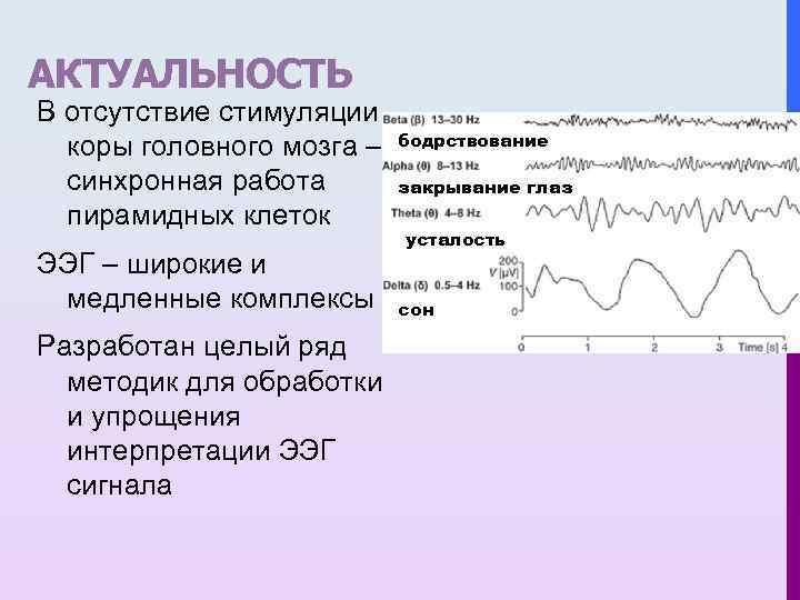 АКТУАЛЬНОСТЬ В отсутствие стимуляции коры головного мозга – синхронная работа пирамидных клеток ЭЭГ –