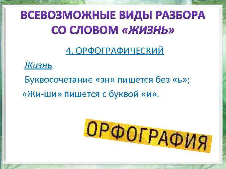 4. ОРФОГРАФИЧЕСКИЙ Жизнь Буквосочетание «зн» пишется без «ь» ; «Жи-ши» пишется с буквой «и»