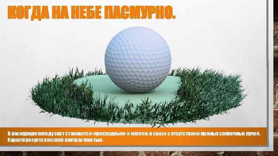 КОГДА НА НЕБЕ ПАСМУРНО. В пасмурную погоду свет становится «прохладным» и мягким, в связи
