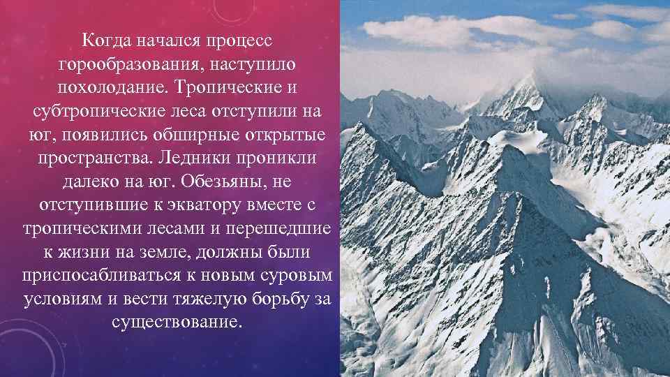 Когда начался процесс горообразования, наступило похолодание. Тропические и субтропические леса отступили на юг, появились