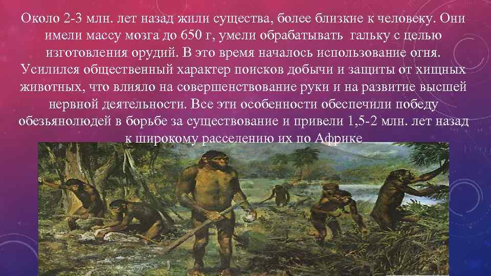 Около 2 -3 млн. лет назад жили существа, более близкие к человеку. Они имели