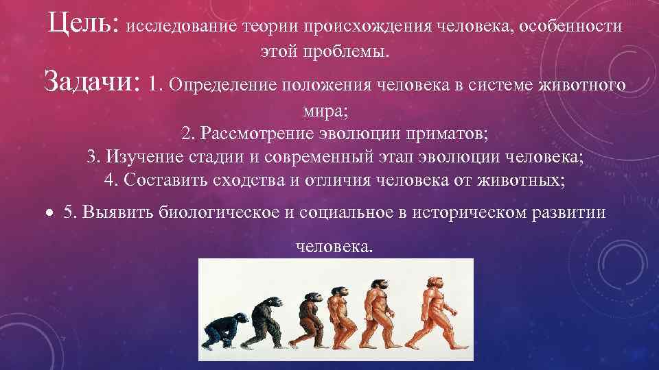 Эволюционное происхождение человека презентация 9 класс пономарева