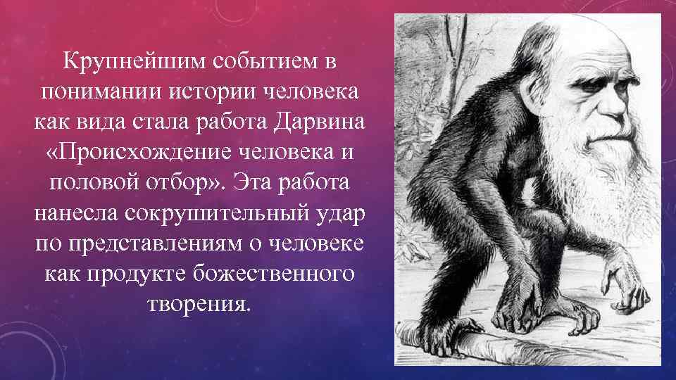 Крупнейшим событием в понимании истории человека как вида стала работа Дарвина «Происхождение человека и