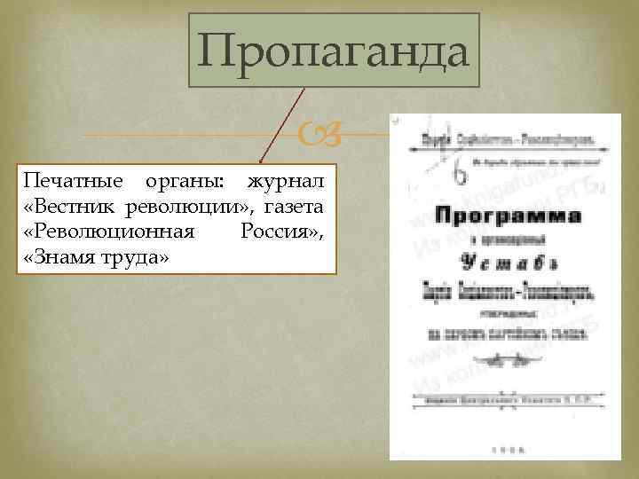 Пропаганда Печатные органы: журнал «Вестник революции» , газета «Революционная Россия» , «Знамя труда» 