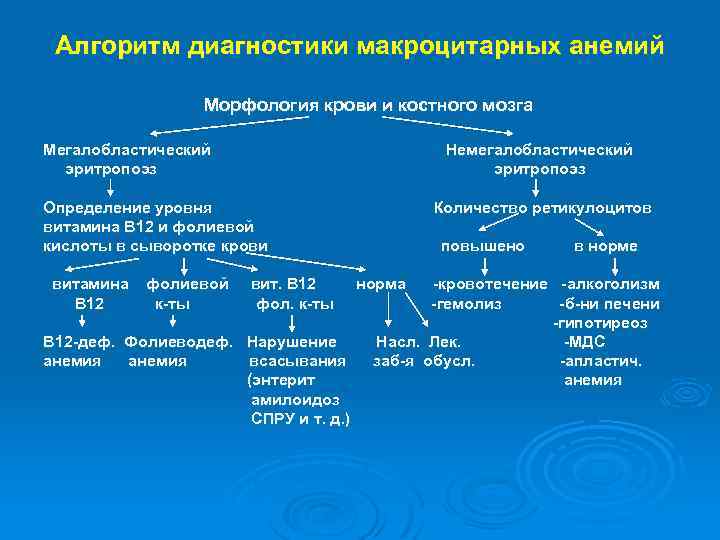 Алгоритм диагностики макроцитарных анемий Морфология крови и костного мозга Мегалобластический эритропоэз Немегалобластический эритропоэз Определение
