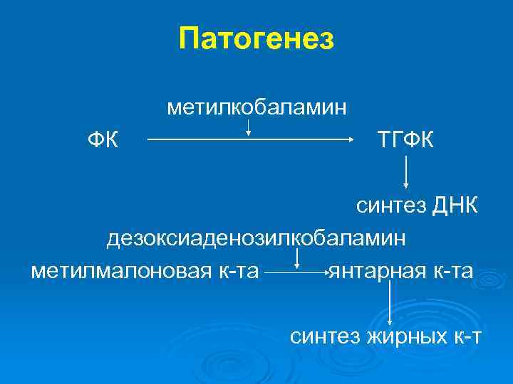 Патогенез метилкобаламин ФК ТГФК синтез ДНК дезоксиаденозилкобаламин метилмалоновая к-та янтарная к-та синтез жирных к-т