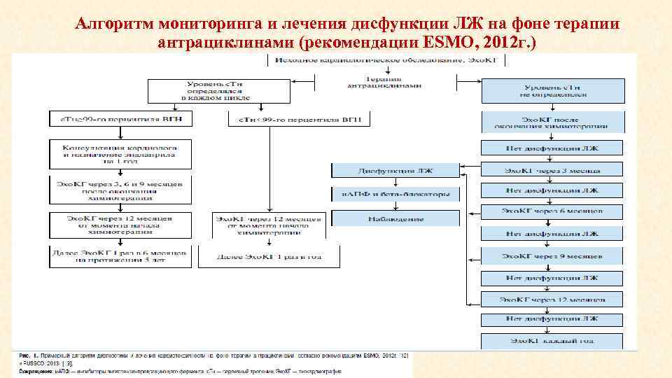 Алгоритм мониторинга и лечения дисфункции ЛЖ на фоне терапии антрациклинами (рекомендации ESMO, 2012 г.