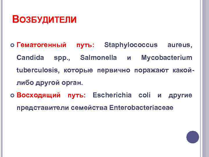 ВОЗБУДИТЕЛИ Гематогенный Candida spp. , путь: Staphylococcus Salmonella и aureus, Mycobacterium tuberculosis, которые первично