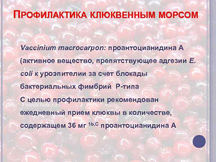 ПРОФИЛАКТИКА КЛЮКВЕННЫМ МОРСОМ Vaccinium macrocarpon: проантоцианидина А (активное вещество, препятствующее адгезии E. coli к