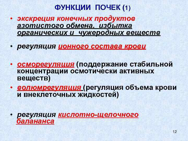 ФУНКЦИИ ПОЧЕК (1) • экскреция конечных продуктов азотистого обмена, избытка органических и чужеродных веществ