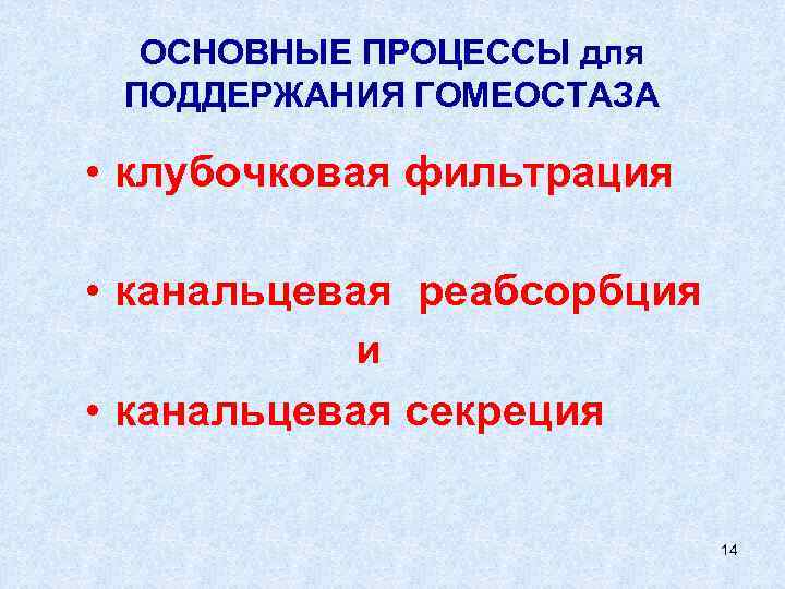 ОСНОВНЫЕ ПРОЦЕССЫ для ПОДДЕРЖАНИЯ ГОМЕОСТАЗА • клубочковая фильтрация • канальцевая реабсорбция и • канальцевая