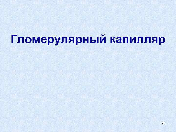 Гломерулярный капилляр 23 