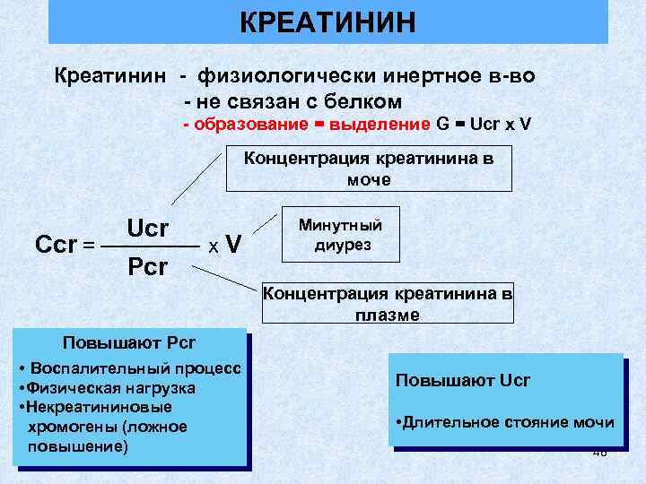 КРЕАТИНИН Креатинин - физиологически инертное в-во - не связан с белком - образование =