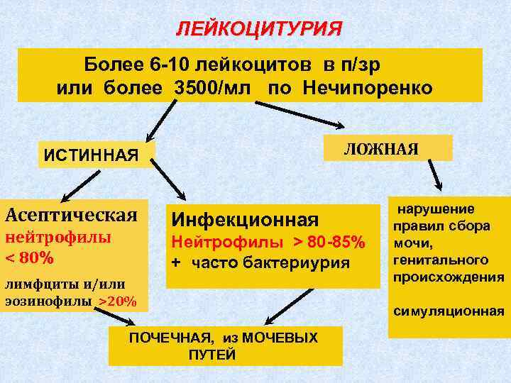 ЛЕЙКОЦИТУРИЯ Более 6 -10 лейкоцитов в п/зр или более 3500/мл по Нечипоренко ЛОЖНАЯ ИСТИННАЯ