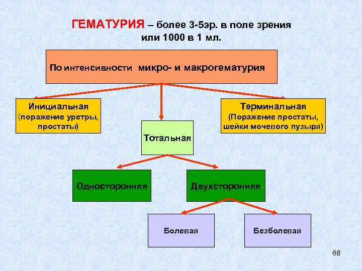 ГЕМАТУРИЯ – более 3 -5 эр. в поле зрения или 1000 в 1 мл.