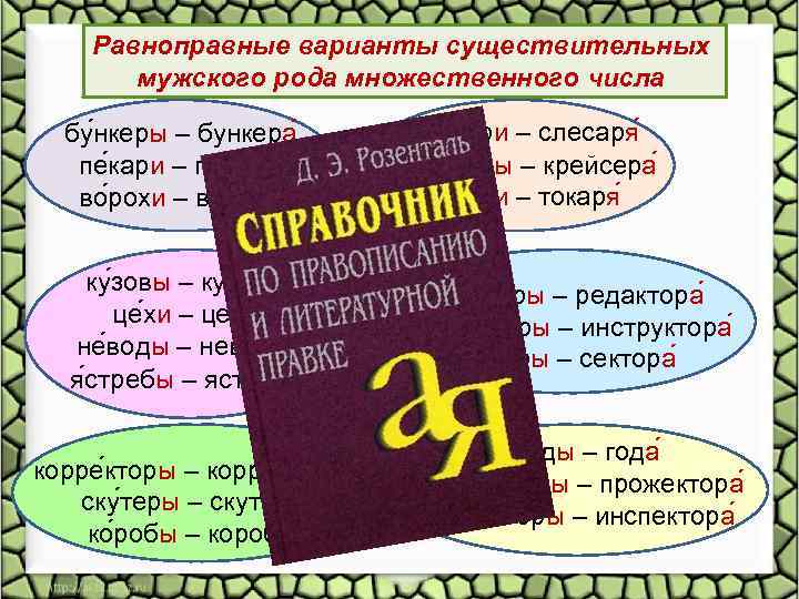 Равноправные варианты существительных мужского рода множественного числа бу нкеры – бункера пе кари –