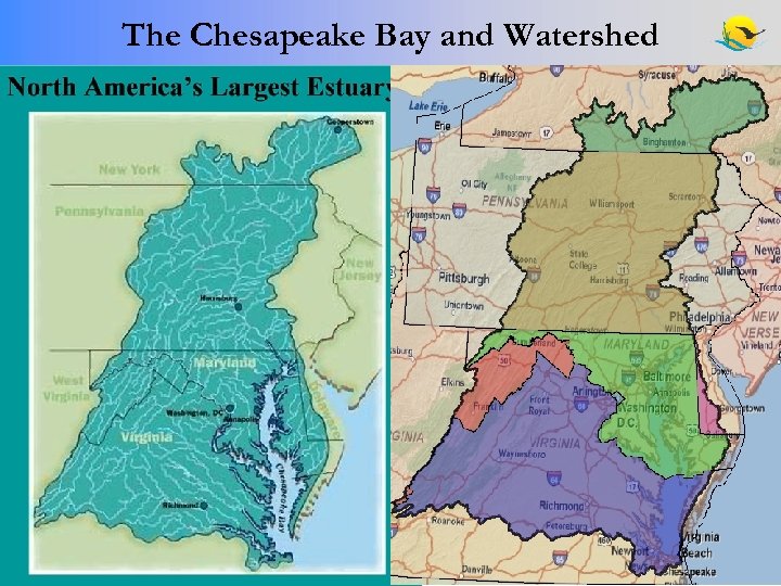 The Chesapeake Bay and Watershed 