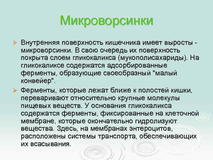 Микроворсинки Внутренняя поверхность кишечника имеет выросты микроворсинки. В свою очередь их поверхность покрыта слоем