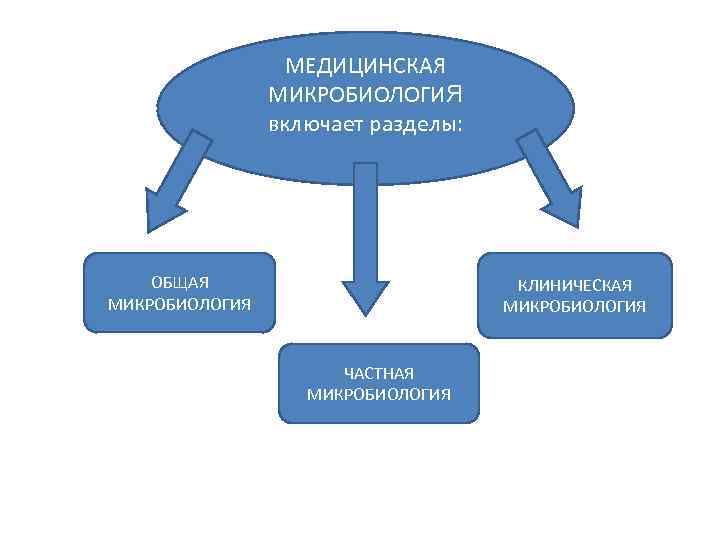 МЕДИЦИНСКАЯ МИКРОБИОЛОГИЯ включает разделы: ОБЩАЯ МИКРОБИОЛОГИЯ КЛИНИЧЕСКАЯ МИКРОБИОЛОГИЯ ЧАСТНАЯ MИКРОБИОЛОГИЯ 