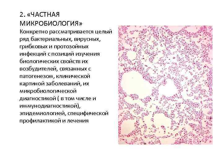 2. «ЧАСТНАЯ MИКРОБИОЛОГИЯ» Конкретно рассматривается целый ряд бактериальных, вирусных, грибковых и протозойных инфекций с