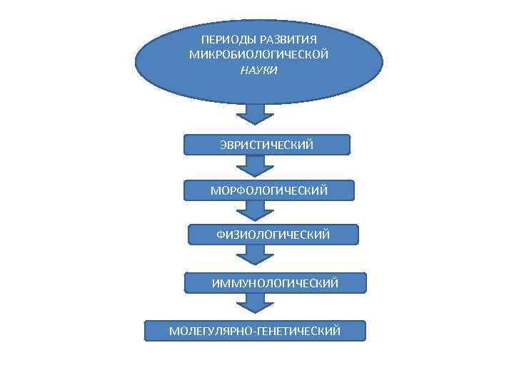 ПЕРИОДЫ РАЗВИТИЯ МИКРОБИОЛОГИЧЕСКОЙ НАУКИ ЭВРИСТИЧЕСКИЙ МОРФОЛОГИЧЕСКИЙ ФИЗИОЛОГИЧЕСКИЙ ИММУНОЛОГИЧЕСКИЙ МОЛЕГУЛЯРНО-ГЕНЕТИЧЕСКИЙ 