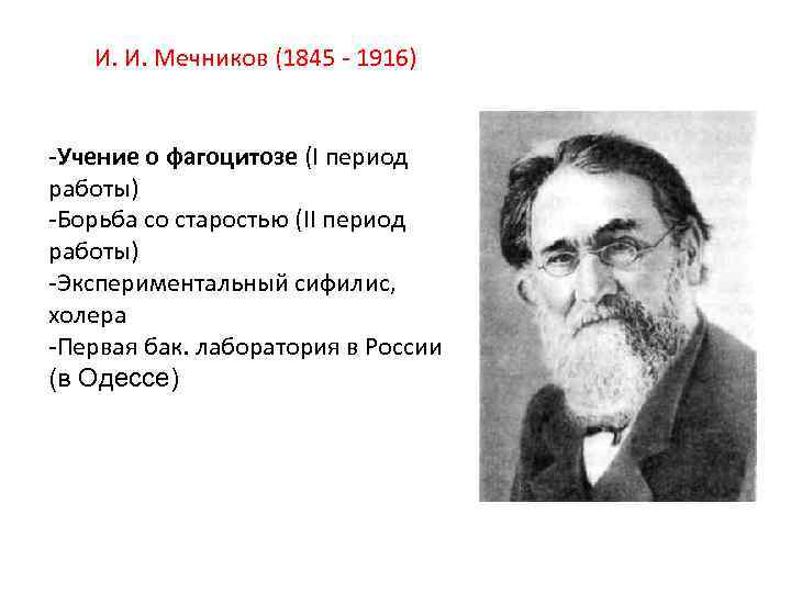 И. И. Мечников (1845 - 1916) -Учение о фагоцитозе (I период работы) -Борьба со