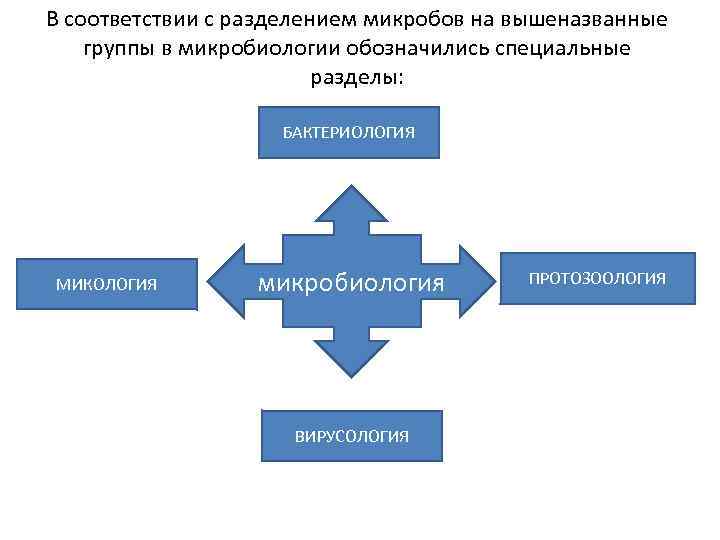 В соответствии с разделением микробов на вышеназванные группы в микробиологии обозначились специальные разделы: БАКТЕРИОЛОГИЯ