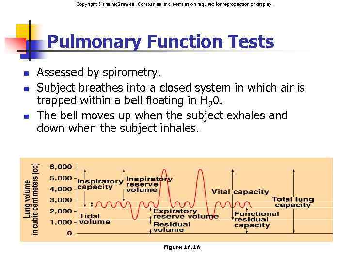 Copyright © The Mc. Graw-Hill Companies, Inc. Permission required for reproduction or display. Pulmonary