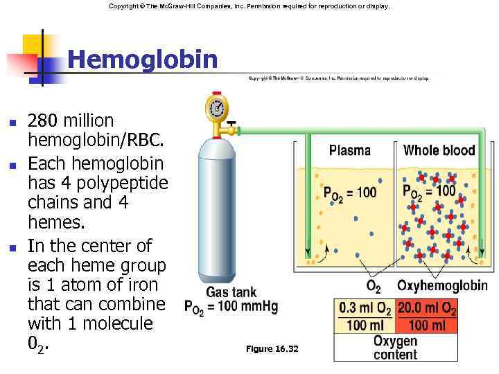 Copyright © The Mc. Graw-Hill Companies, Inc. Permission required for reproduction or display. Hemoglobin