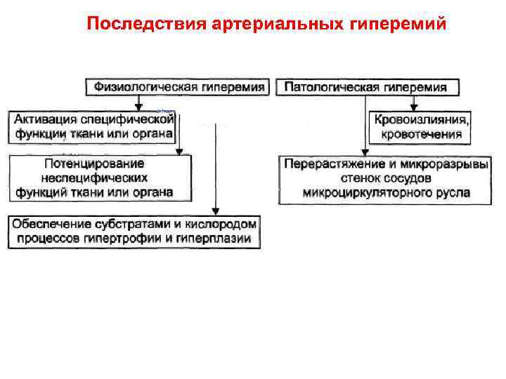 Последствия артериальных гиперемий 