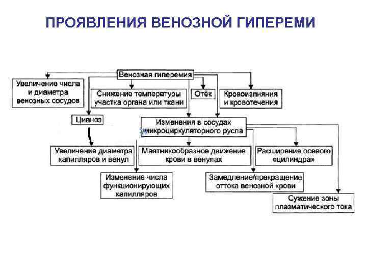 ПРОЯВЛЕНИЯ ВЕНОЗНОЙ ГИПЕРЕМИ 