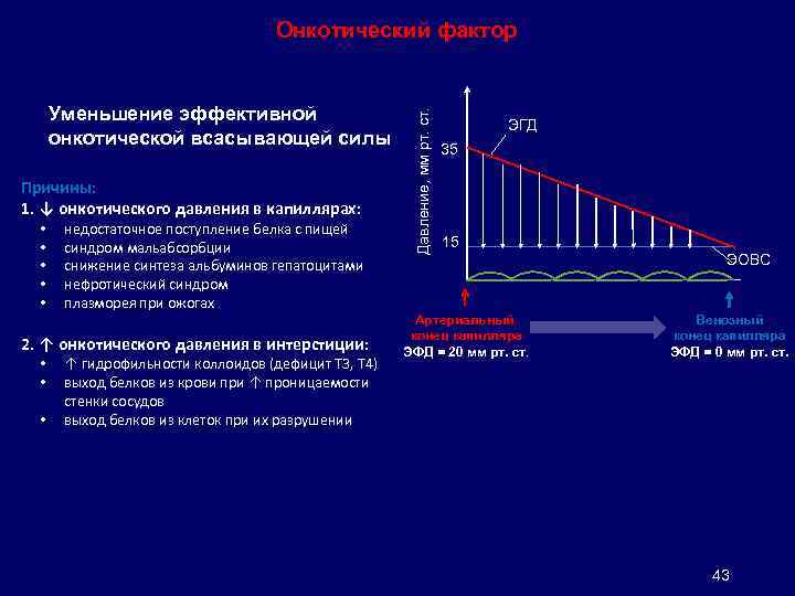 Уменьшение эффективной онкотической всасывающей силы Причины: 1. ↓ онкотического давления в капиллярах: • •