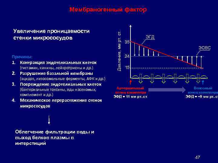 Увеличение проницаемости стенки микрососудов Причины: 1. Контракция эндотелиальных клеток (гистамин, кинины, лейкротриены и др.