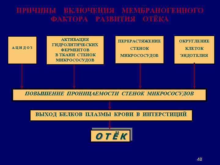 ПРИЧИНЫ ВКЛЮЧЕНИЯ МЕМБРАНОГЕННОГО ФАКТОРА РАЗВИТИЯ ОТЁКА АЦИДОЗ АКТИВАЦИЯ ГИДРОЛИТИЧЕСКИХ ФЕРМЕНТОВ В ТКАНИ СТЕНОК МИКРОСОСУДОВ