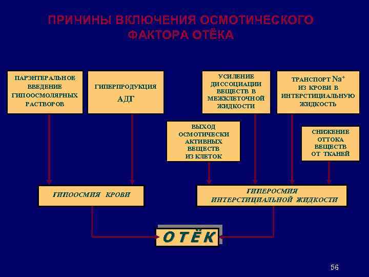 ПРИЧИНЫ ВКЛЮЧЕНИЯ ОСМОТИЧЕСКОГО ФАКТОРА ОТЁКА ПАРЭНТЕРАЛЬНОЕ ВВЕДЕНИЕ ГИПООСМОЛЯРНЫХ РАСТВОРОВ ГИПЕРПРОДУКЦИЯ АДГ УСИЛЕНИЕ ДИССОЦИАЦИИ ВЕЩЕСТВ