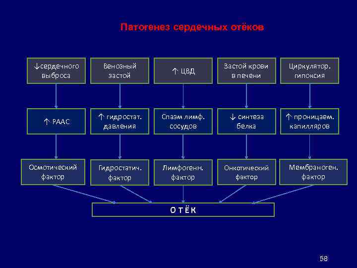 Патогенез сердечных отёков ↓сердечного выброса Венозный застой ↑ ЦВД Застой крови в печени Циркулятор.