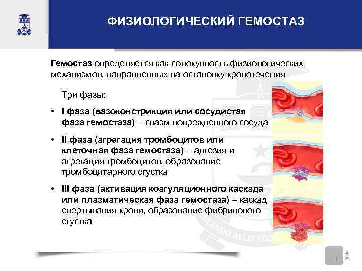 ФИЗИОЛОГИЧЕСКИЙ ГЕМОСТАЗ Гемостаз определяется как совокупность физиологических механизмов, направленных на остановку кровотечения Три фазы: