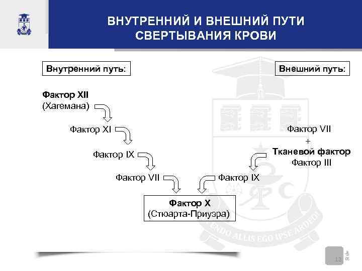 ВНУТРЕННИЙ И ВНЕШНИЙ ПУТИ СВЕРТЫВАНИЯ КРОВИ Внутренний путь: Внешний путь: Фактор XII (Хагемана) Фактор