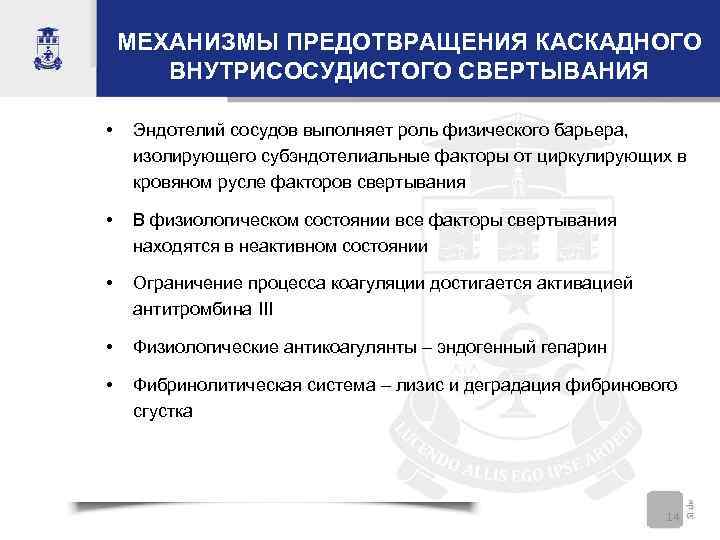 МЕХАНИЗМЫ ПРЕДОТВРАЩЕНИЯ КАСКАДНОГО ВНУТРИСОСУДИСТОГО СВЕРТЫВАНИЯ • Эндотелий сосудов выполняет роль физического барьера, изолирующего субэндотелиальные