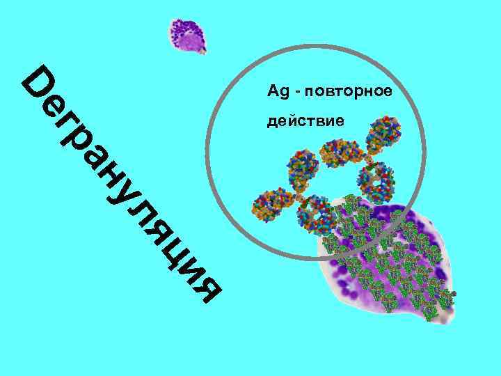 De Ag - повторное ул ан гр действие ия яц 