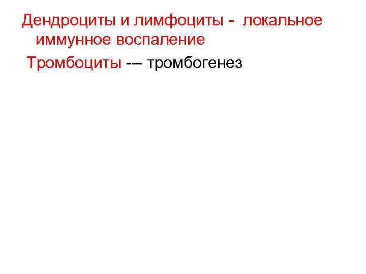 Дендроциты и лимфоциты - локальное иммунное воспаление Тромбоциты --- тромбогенез 