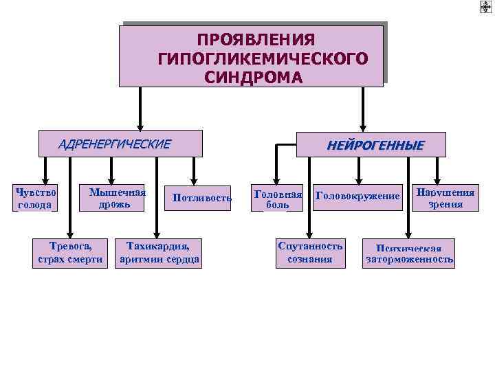 ПРОЯВЛЕНИЯ ГИПОГЛИКЕМИЧЕСКОГО СИНДРОМА АДРЕНЕРГИЧЕСКИЕ Чувство голода Мышечная дрожь Тревога, страх смерти НЕЙРОГЕННЫЕ Потливость Тахикардия,