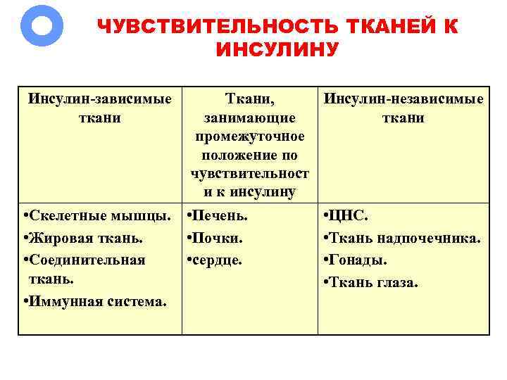 ЧУВСТВИТЕЛЬНОСТЬ ТКАНЕЙ К ИНСУЛИНУ Инсулин-зависимые ткани Ткани, Инсулин-независимые занимающие ткани промежуточное положение по чувствительност