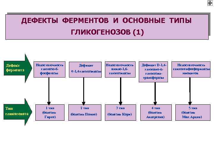 ДЕФЕКТЫ ФЕРМЕНТОВ И ОСНОВНЫЕ ТИПЫ ГЛИКОГЕНОЗОВ (1) Дефект фермента Тип гликогеноза Недостаточность глюкозо-6 фосфатазы