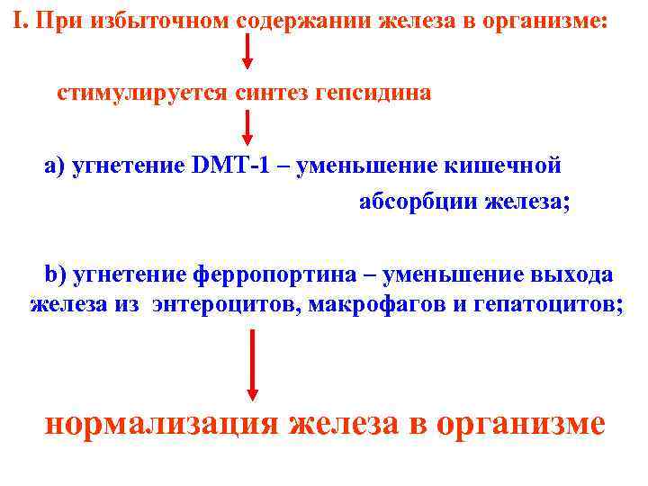 I. При избыточном содержании железа в организме: стимулируется синтез гепсидина a) угнетение DMT-1 –