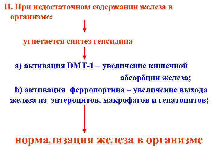 II. При недостаточном содержании железа в организме: угнетается синтез гепсидина a) активация DMT-1 –