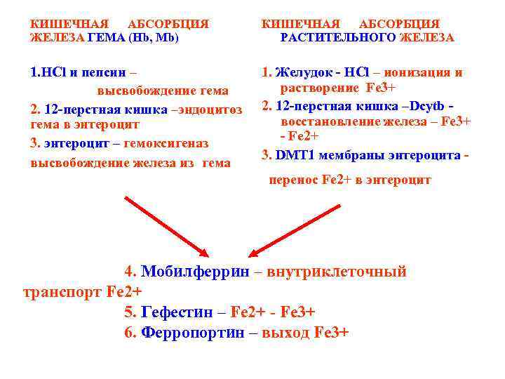 КИШЕЧНАЯ АБСОРБЦИЯ ЖЕЛЕЗА ГЕМА (Hb, Mb) КИШЕЧНАЯ АБСОРБЦИЯ РАСТИТЕЛЬНОГО ЖЕЛЕЗА 1. HCl и пепсин