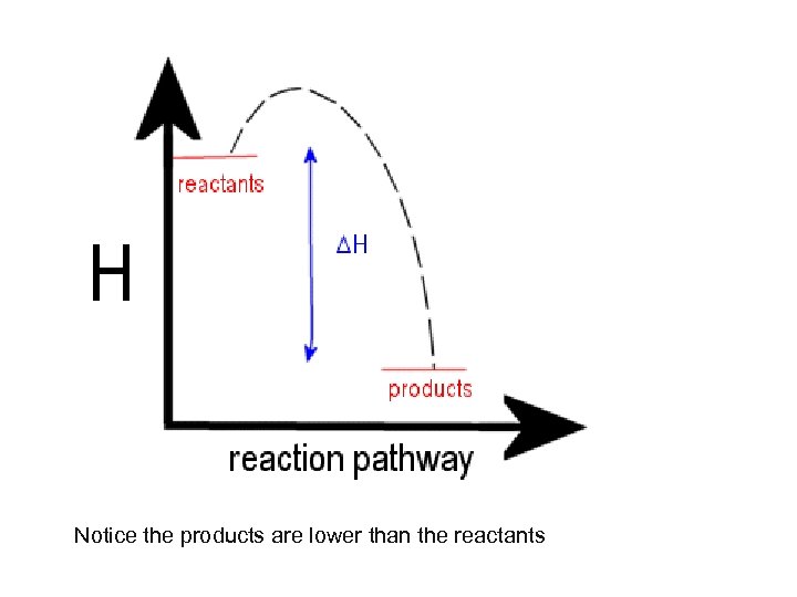Notice the products are lower than the reactants 