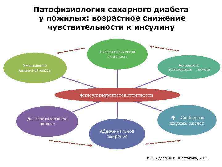 Патофизиология сахарного диабета у пожилых: возрастное снижение чувствительности к инсулину Низкая физическая активность Уменьшение